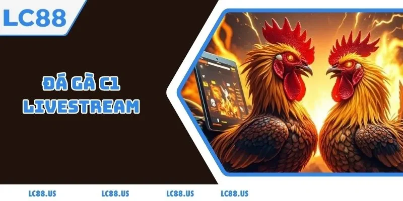 Đá Gà C1 Livestream - Giải Đấu Trực Tuyến Hấp Dẫn Nhất 2025