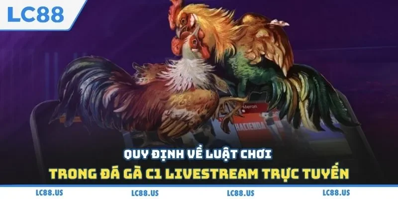 Quy định về luật chơi trong đá gà C1 livestream trực tuyến